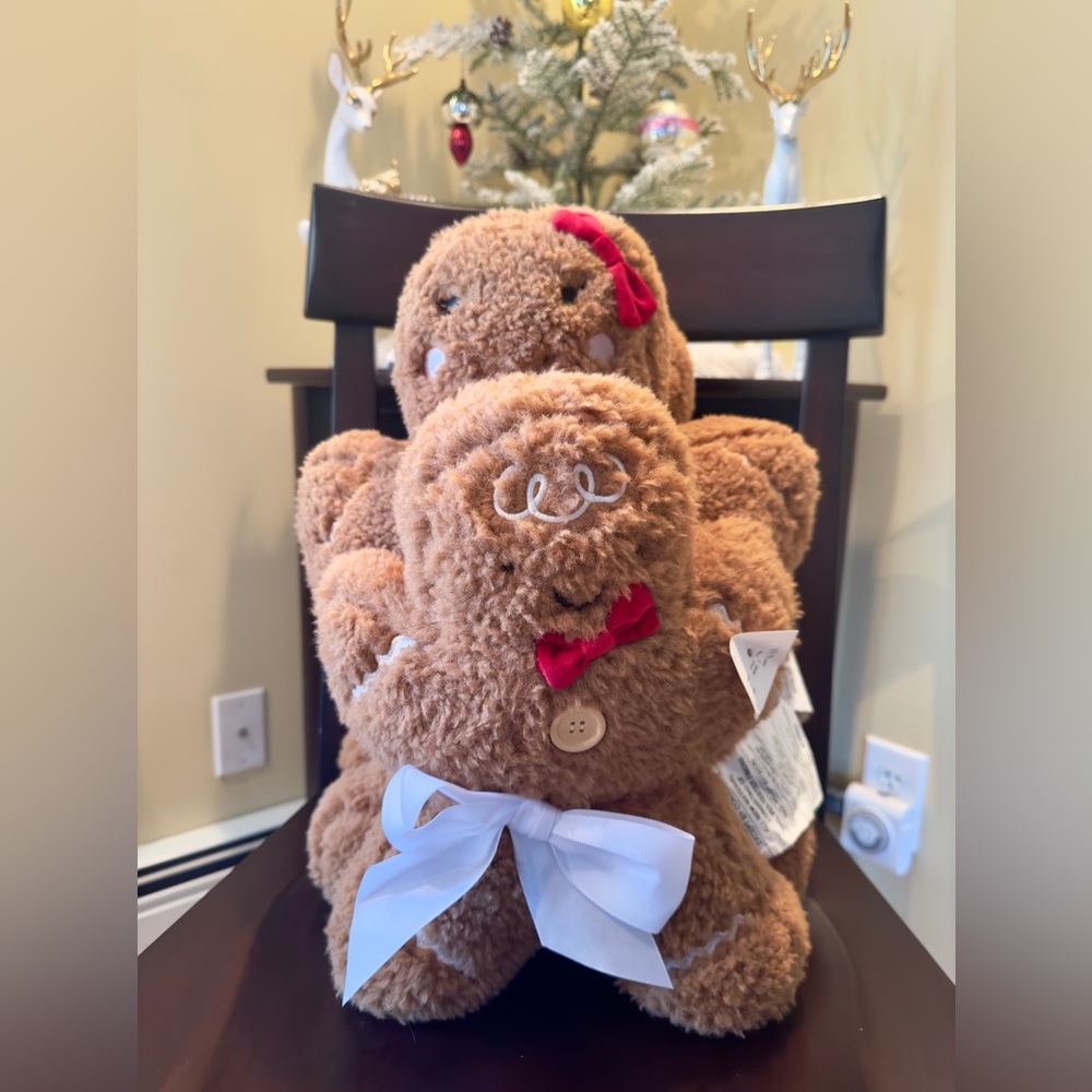 NWT Cupcakes & Cashmere Gingerbread family pillows